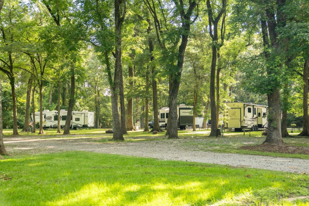 "Several RVs parked in a wooded campground with tall trees providing shade. Sunlight filters through the leaves, casting dappled light on the grass and gravel paths. The peaceful setting suggests a relaxing outdoor environment